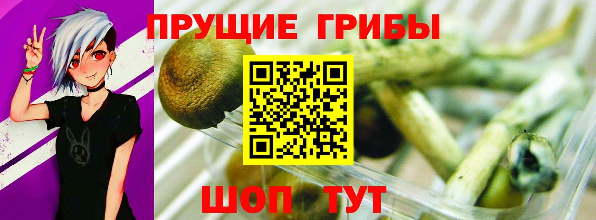 Галлюциногенные грибы Psilocybine cubensis  Вход с VPN  Владикавказ 