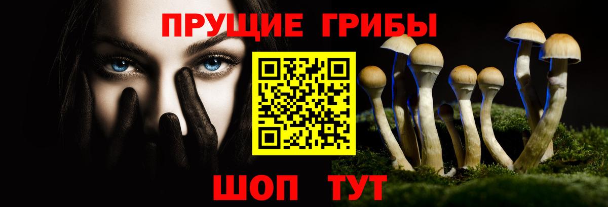 Псилоцибиновые грибы MAGIC MUSHROOMS Владикавказ